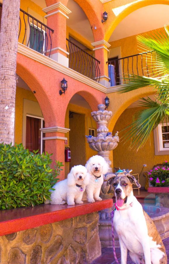 Hotel Angra Loreto  Ngoại thất bức ảnh